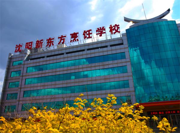 厨师培训